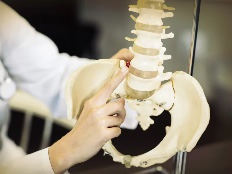 Gonstead Technique at Melbourne Chiropractic Spine & Injury Center in Palm Bay